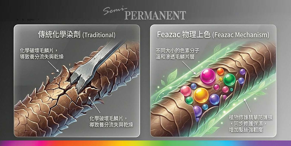 Feazac_Color_02