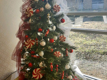 Christmas Tree Competition