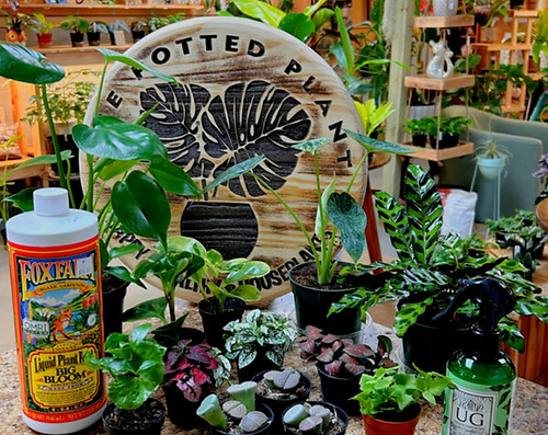 sign w plants_edited_edited.jpg