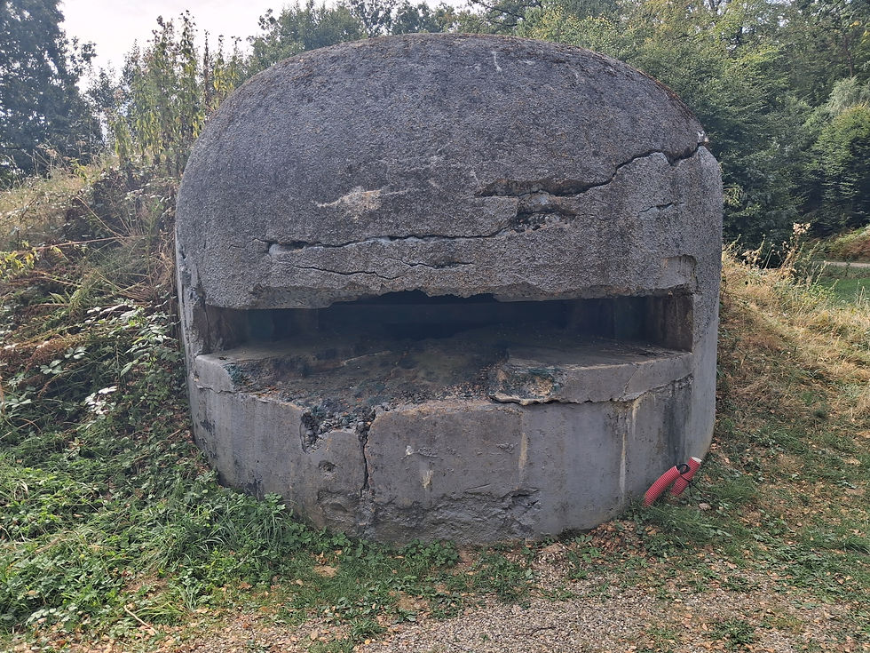 Maginot line, Alsace