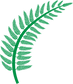 fern graphic