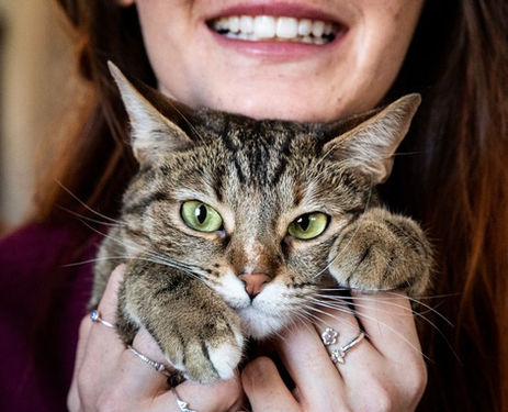 cat-photography-pawfect-photo-moments.jpeg