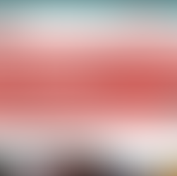 Introducing Pet Waggin's New Pet Care Software: How To Get Started!