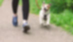 shutterstock_2225043417_edited.jpg