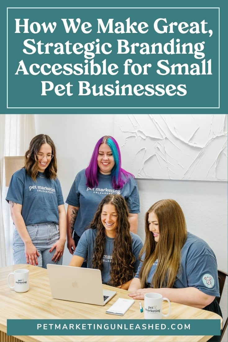 blog post graphic for our blog post on how we make branding accessible for small pet businesses