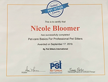 Pet-Care Basics for Professional Pet Sitters​ by High Five Paws Pet Care