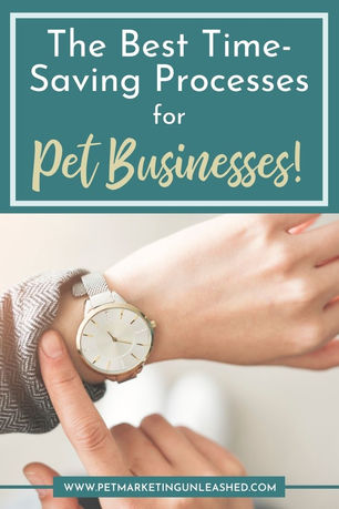 The Best Time-Saving Processes for Pet Businesses