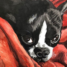 A Conversation with Long Beach Artist Stephanie Han