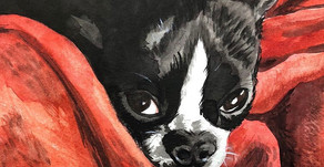 A Conversation with Long Beach Artist Stephanie Han