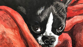 A Conversation with Long Beach Artist Stephanie Han