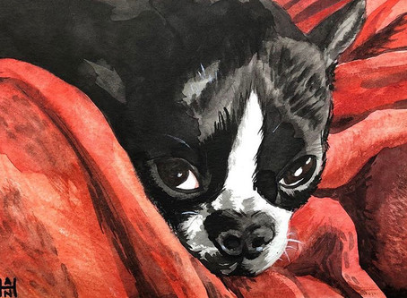A Conversation with Long Beach Artist Stephanie Han