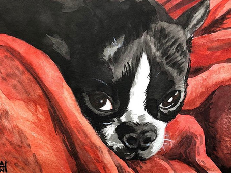 A Conversation with Long Beach Artist Stephanie Han