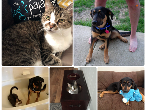 LOOKING AHEAD TO 2021