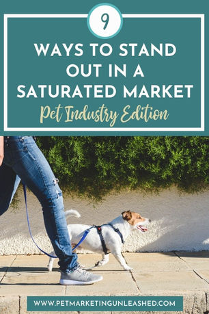 9 Ways to Stand Out in a Saturated Market (Pet Industry Edition)