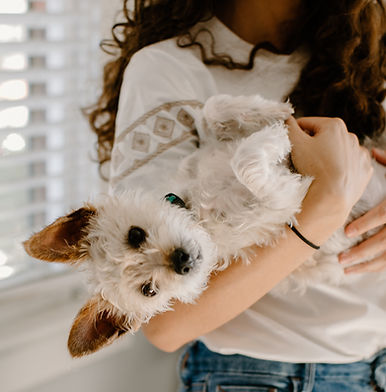 Mikaela holding her dog while website designing.