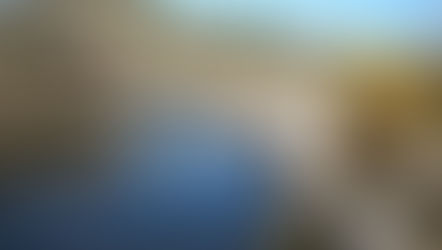 Dog Heatstroke Prevention On Hikes In East County San Diego 