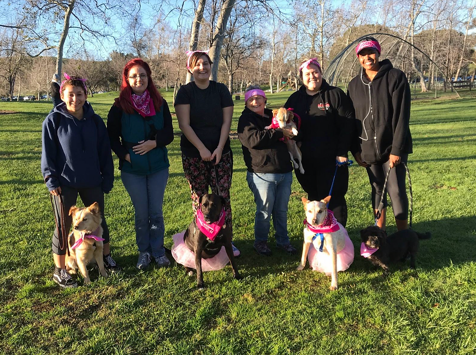 Paws FUR Pink Walk to Support Canine Cancer - Pet Waggin' Team