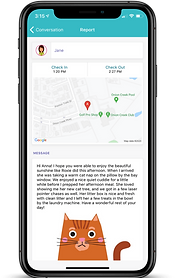 client-portal-example-for-meowfolk