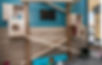 cat-play-room-furry-friends-resort