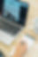 PetMarketingUnleashed-034.jpg