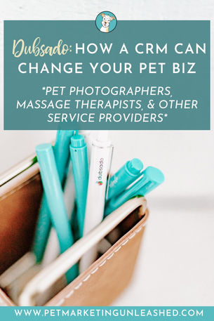 Dubsado: How a CRM Can Change Your Pet Biz (for Pet Photographers, Massage Therapists, & More)