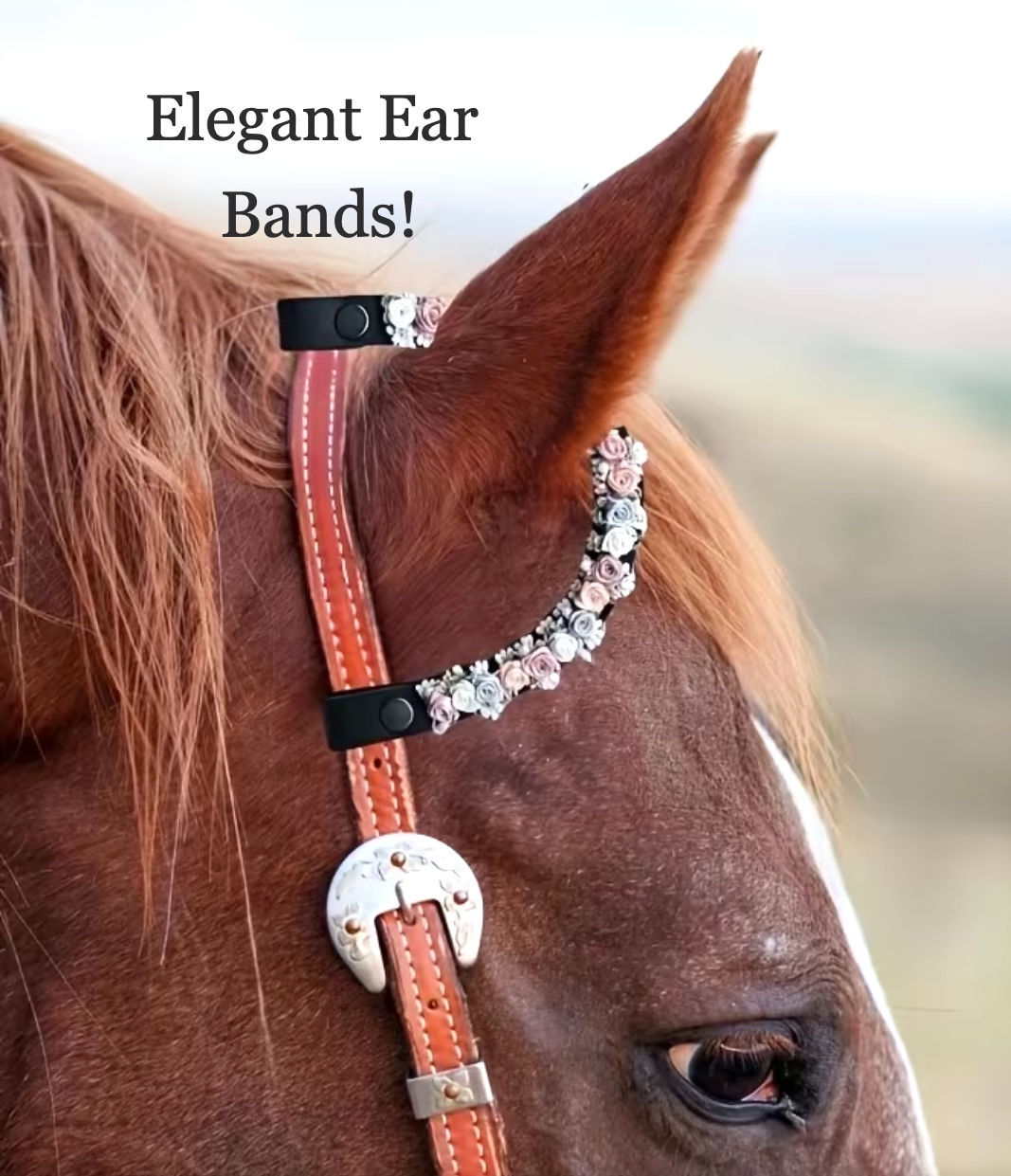 Horse Ear Bands!