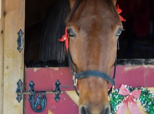 Screen Shot 2020-02-05 at 11.34.39 AM.pn