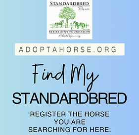 Find My Standardbred (US Letter)_edited.png