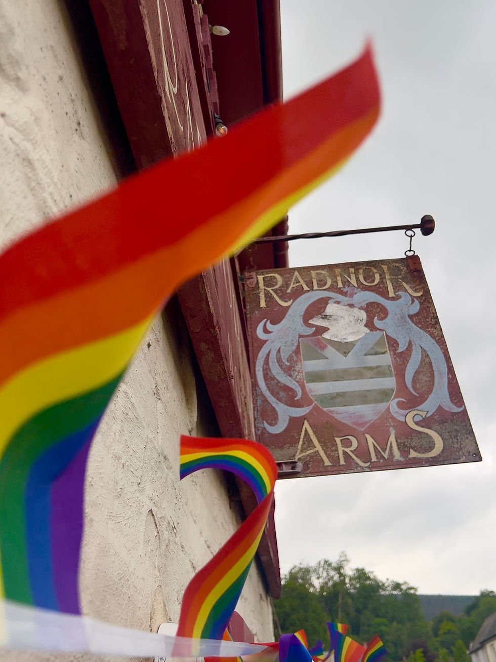 The Radnor Arms in New Radnor celebrates one year of community ownership!