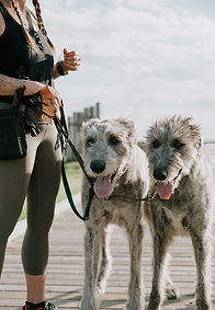 40 Minute Private Walks
