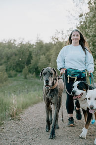 Training Walk