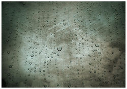 RutySoft-Lluvia (16)