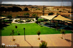 RutySoft Tilt Shift 17