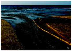 81RutySoft-HertzliaBaYam