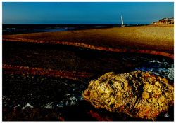 80RutySoft-HertzliaBaYam