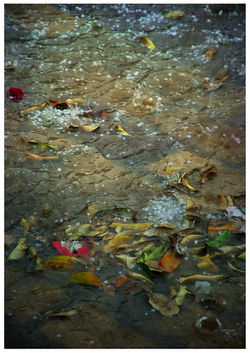 RutySoft-Lluvia (18)