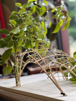 Copie de IMG_1532.heic