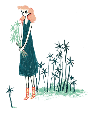 קוצים שקוף.png