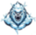 blizzard logo.jpg