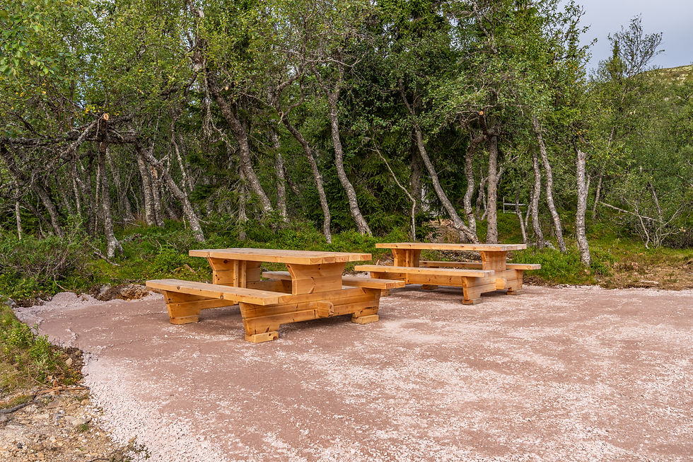 Nipstugan på Nipfjället