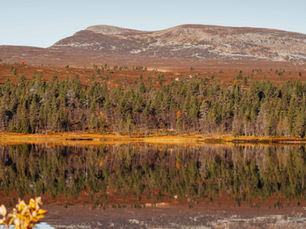 Höstmarknad i Grövelsjön lördag 13 september