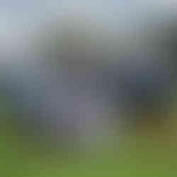 Idre Yran brännboll lag Idre Himmelfjäll