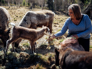 Aktiviteter i Idre under sommaren