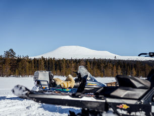 Nu öppnas skoterlederna för säsongen 2024/2025