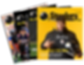 Steelers Digest Subscription