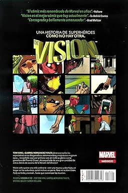 Miniatura: THE VISION