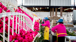 To satisfy your needs