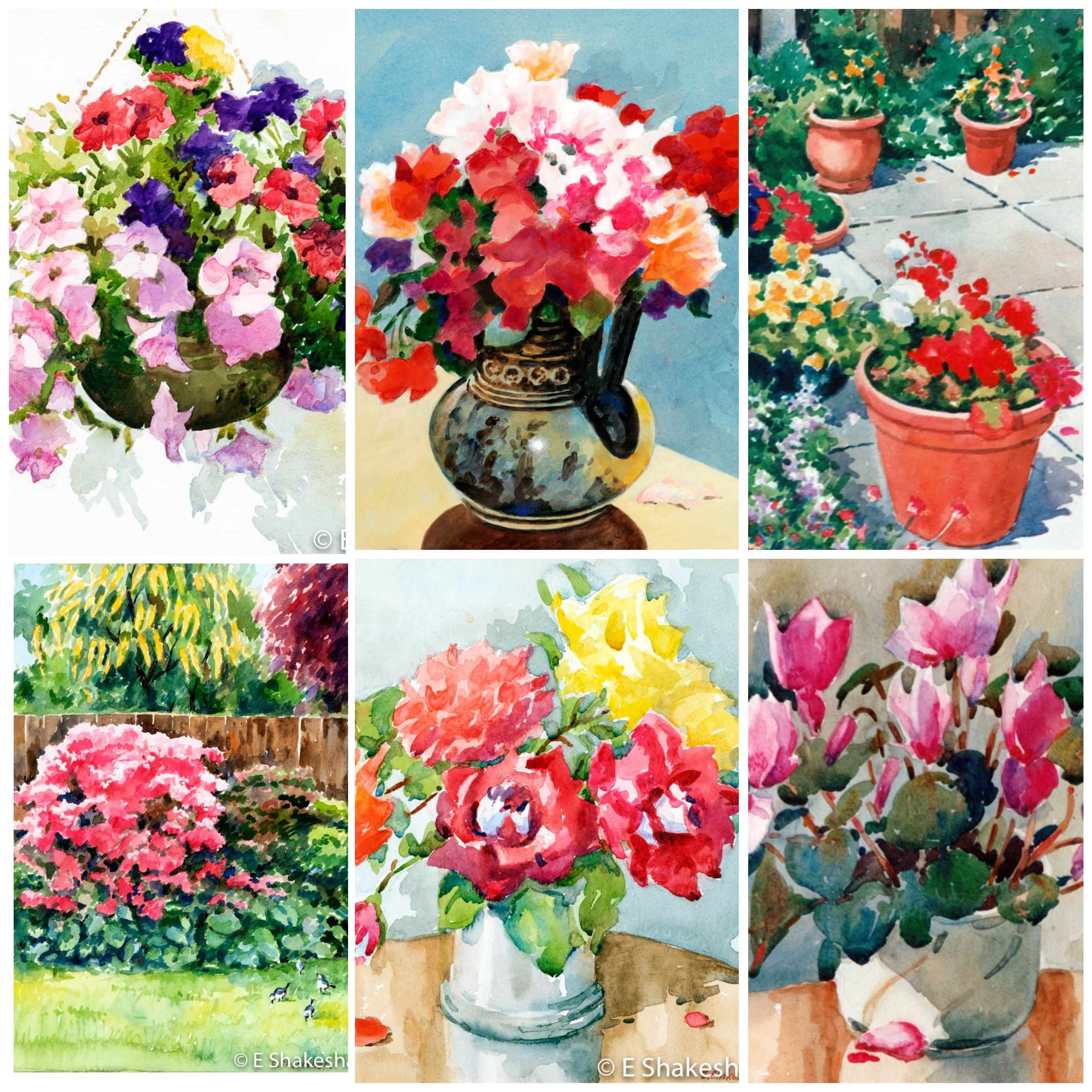 Greetings Cards (6 pack) FLOWERS