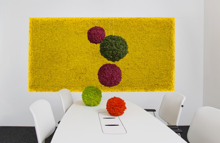Como Utilizar Musgo Moss