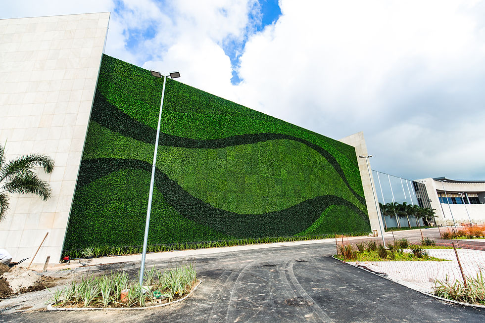 Tipo de Jardins Verticais Externos Artificiais
